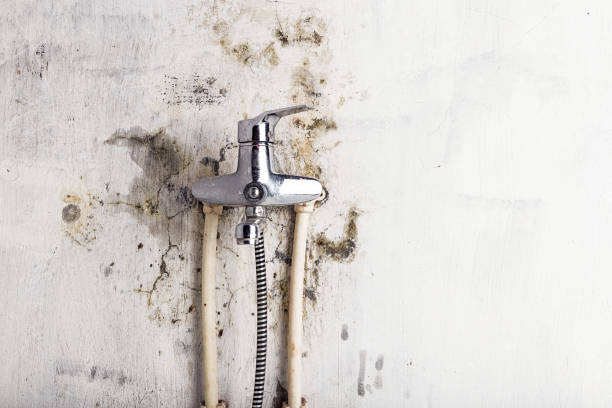 Best Water Damage Restoration  in Little Ferry, NJ