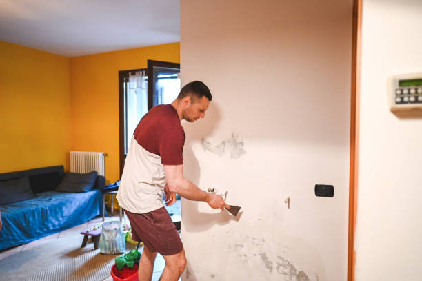 Best Office Mold Removal Services  in Little Ferry, NJ